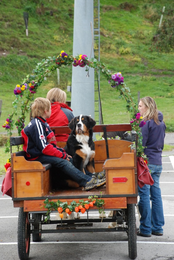 Umzug beim XV. Käsefestival in Kötschach-Mauthen