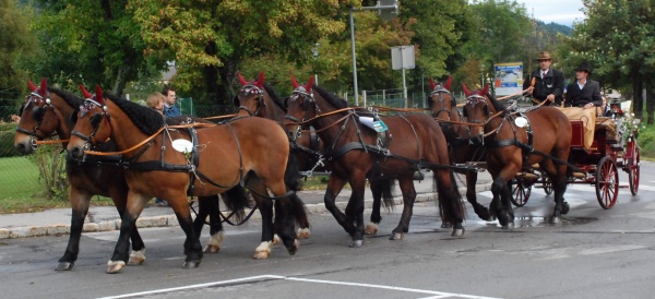 Umzug beim XV. Käsefestival in Kötschach-Mauthen