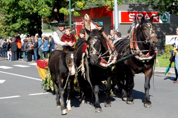 Umzug beim XV. Käsefestival in Kötschach-Mauthen